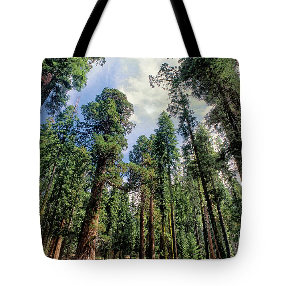 Dave Welling Tote Bag featuring the photograph Giant Sequoias Sequoiadendron Gigantium Yosemite by Dave Welling