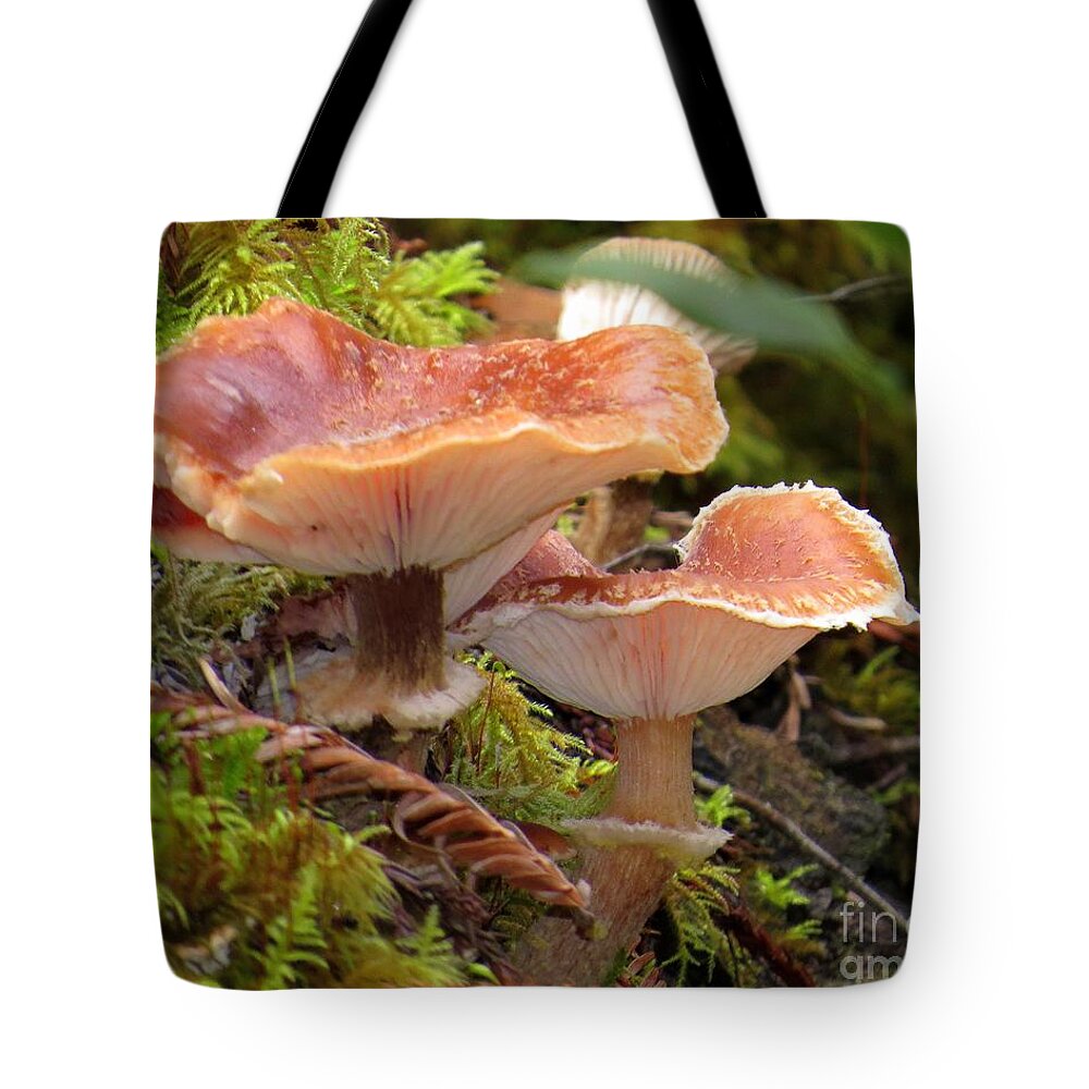 Gilled Tote Bag featuring the photograph Gilled And Ringed Mushrooms by Linda Vanoudenhaegen