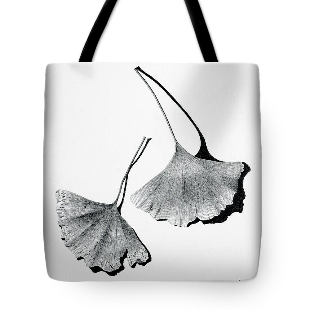 Gingko Leaves Tote Bag featuring the drawing Gingko Leaves Drawing by Garry McMichael