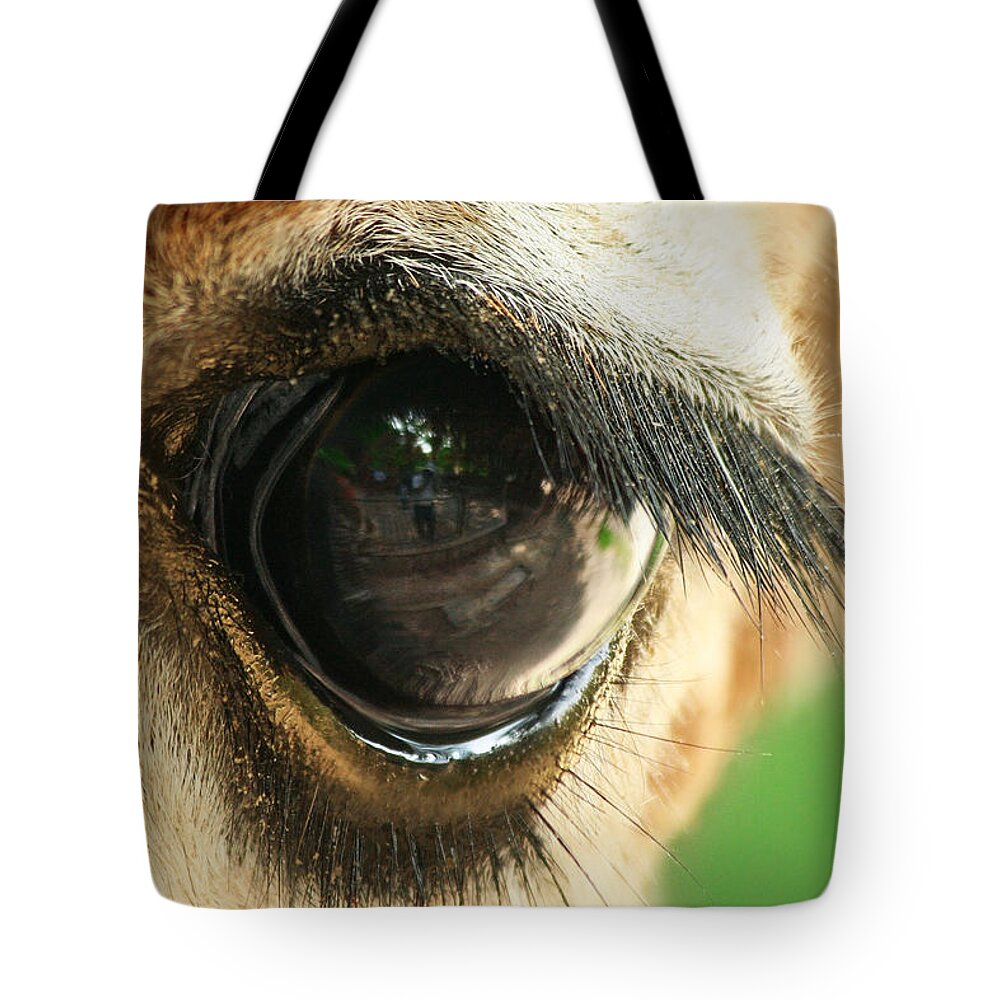 Giraffe Tote Bag featuring the photograph Giraffe Eye by Yuri Peress