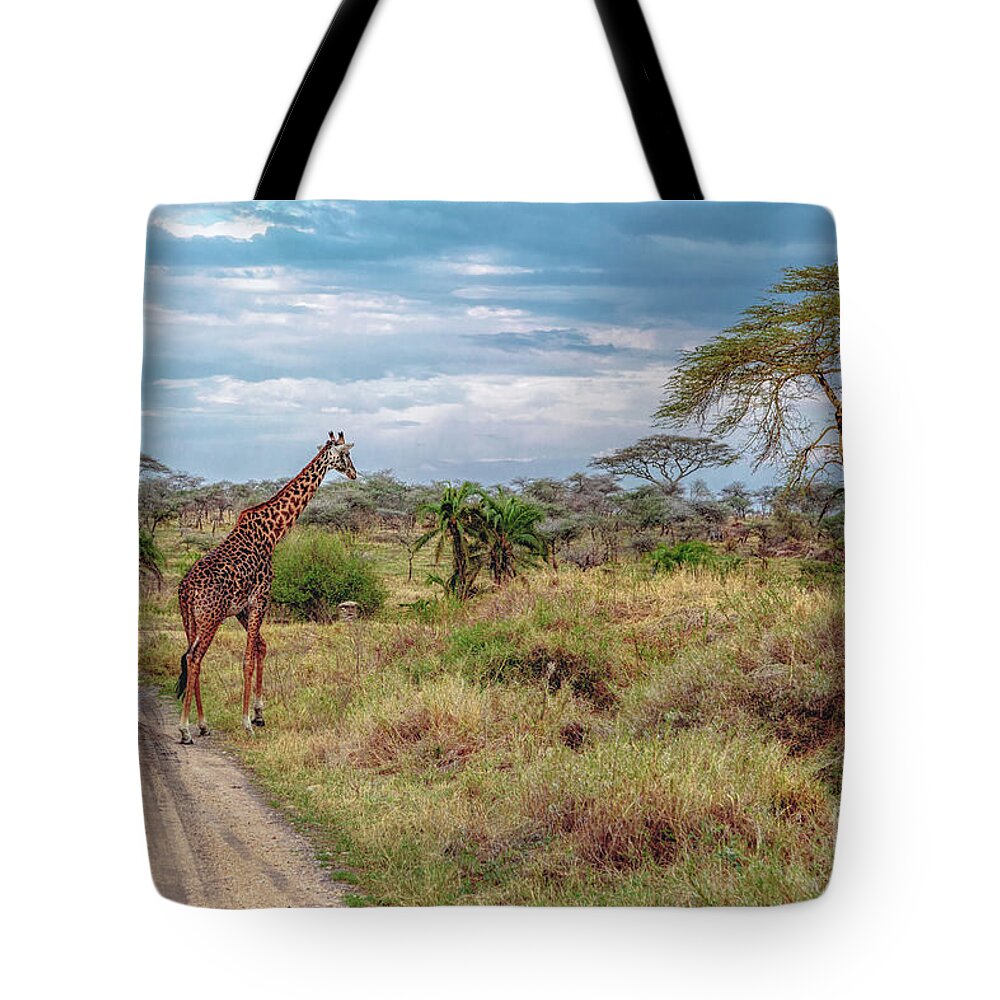 Africa Tote Bag featuring the photograph Giraffe in Serengeti Plains by Lev Kaytsner