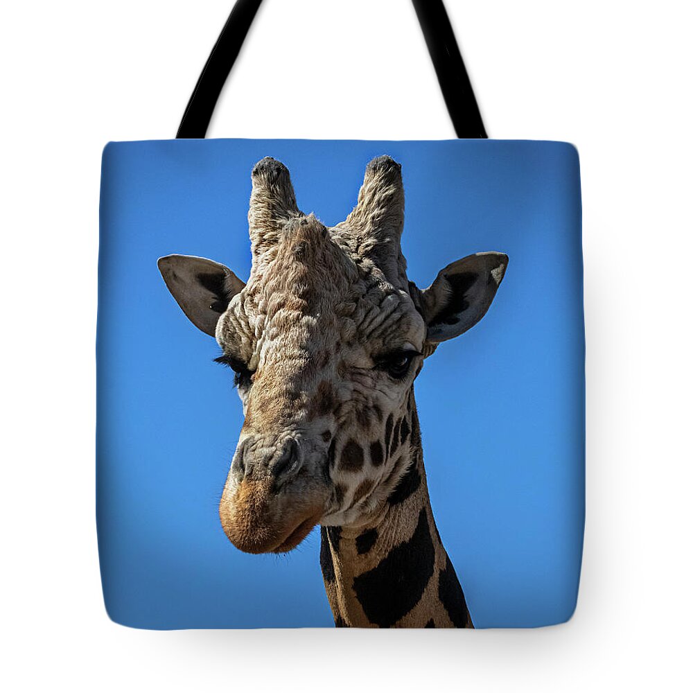 Giraffe Tote Bag featuring the photograph Giraffe Lover by Laura Putman
