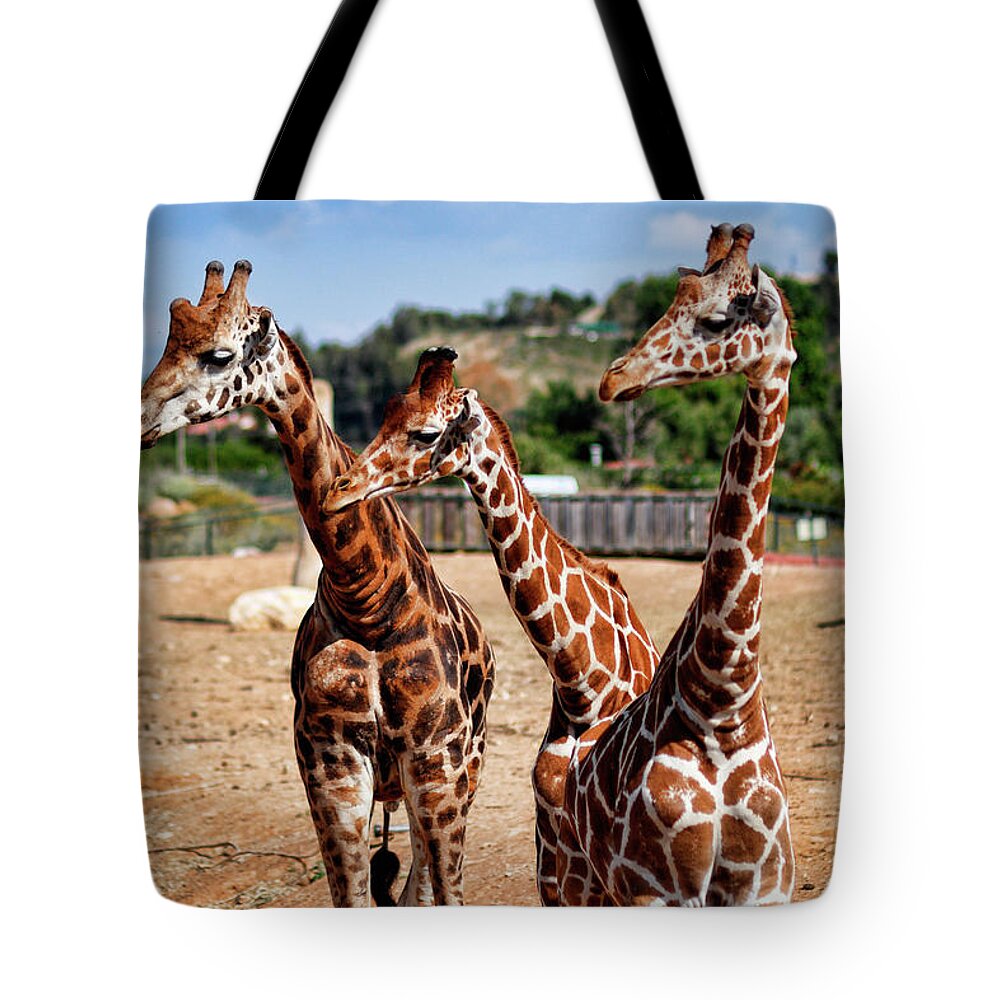 Animals Tote Bag featuring the photograph Giraffes in the zoo by Constantinos Iliopoulos