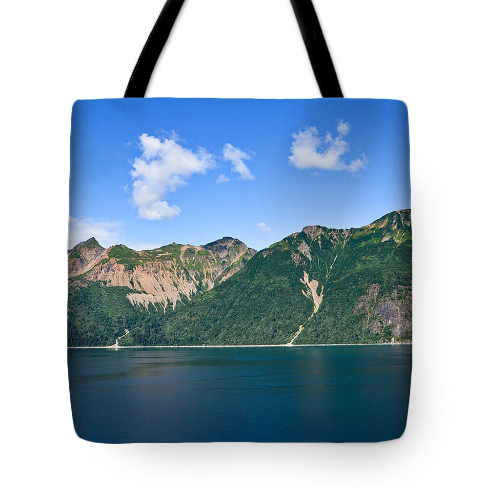 Glacier Bay National Park Tote Bag featuring the photograph Glacier Bay National Park, Alaska-23 by Alex Vishnevsky