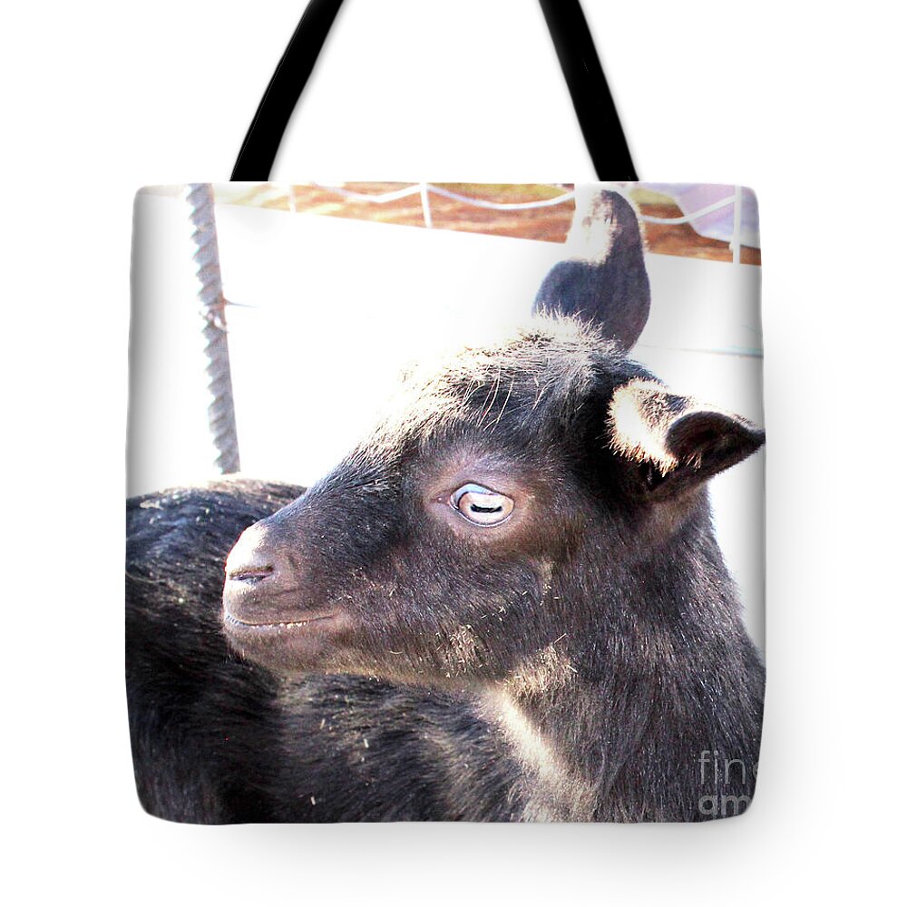 Baby Goats Tote Bag featuring the photograph Gladys by Doug Miller