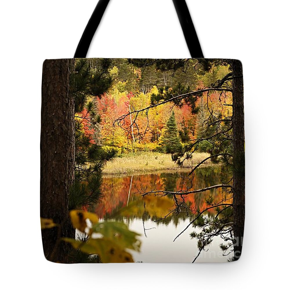 Landscape Tote Bag featuring the photograph Glimpse of Autumn by Larry Ricker