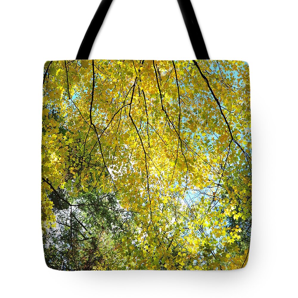 Fall Tote Bag featuring the photograph Glitter Dome 3 by Terri Gostola