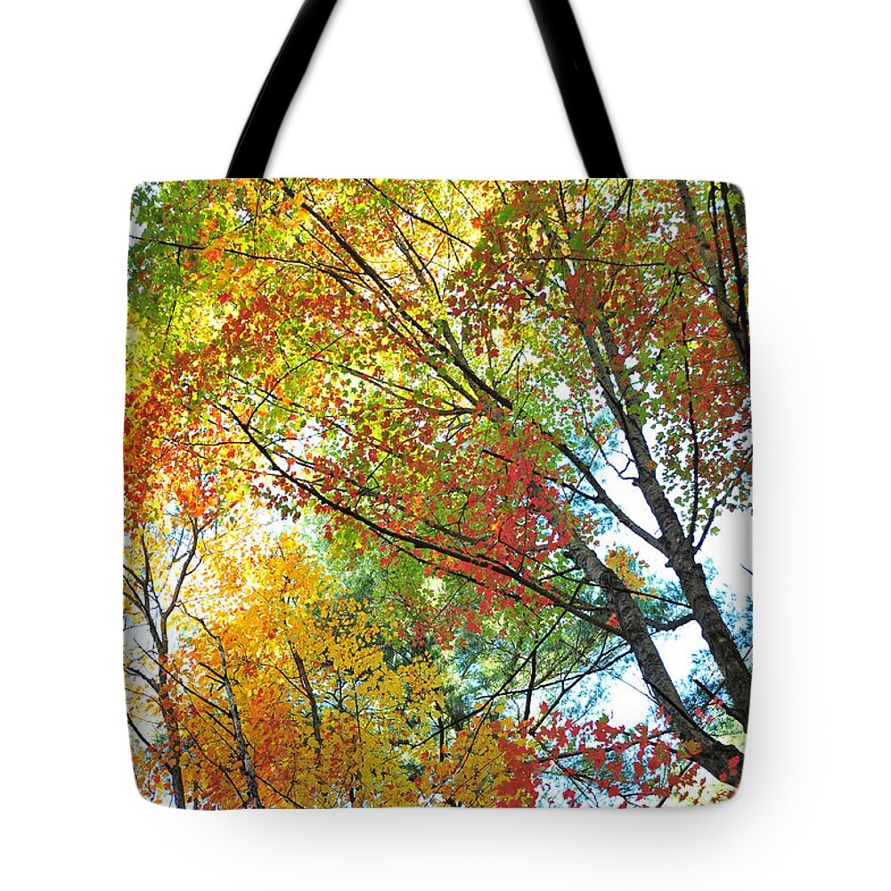 Autumn Tote Bag featuring the photograph Glitter Dome 8 by Terri Gostola