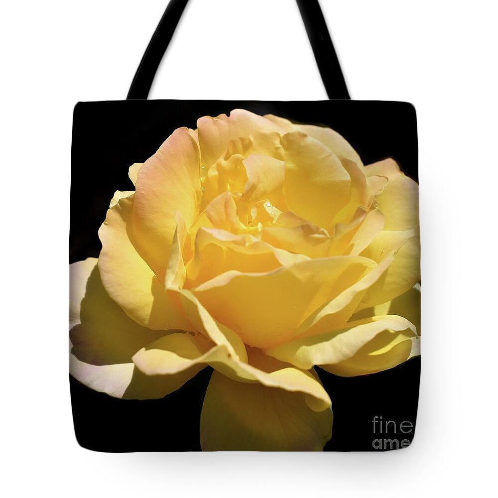 Nature Tote Bag featuring the photograph Glorious Day Rose after Rain by Leonida Arte