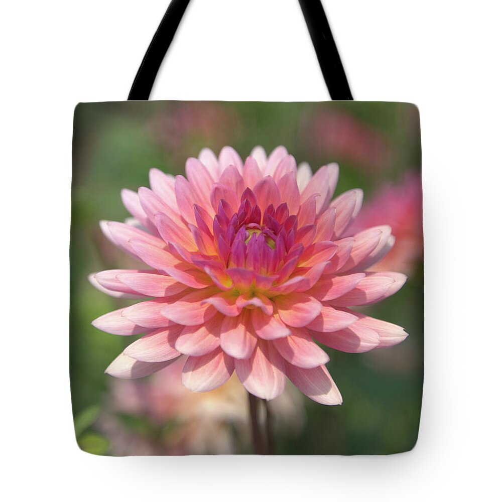 Dahlia Tote Bag featuring the photograph Glorious by Loyd Towe Photography