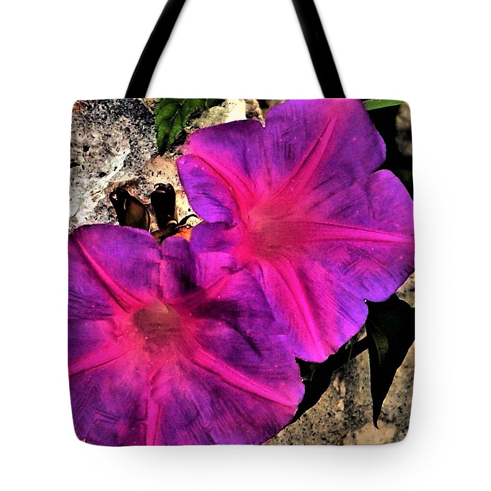 Morning Glory Tote Bag featuring the photograph Glorious Morning by Sandy Poore