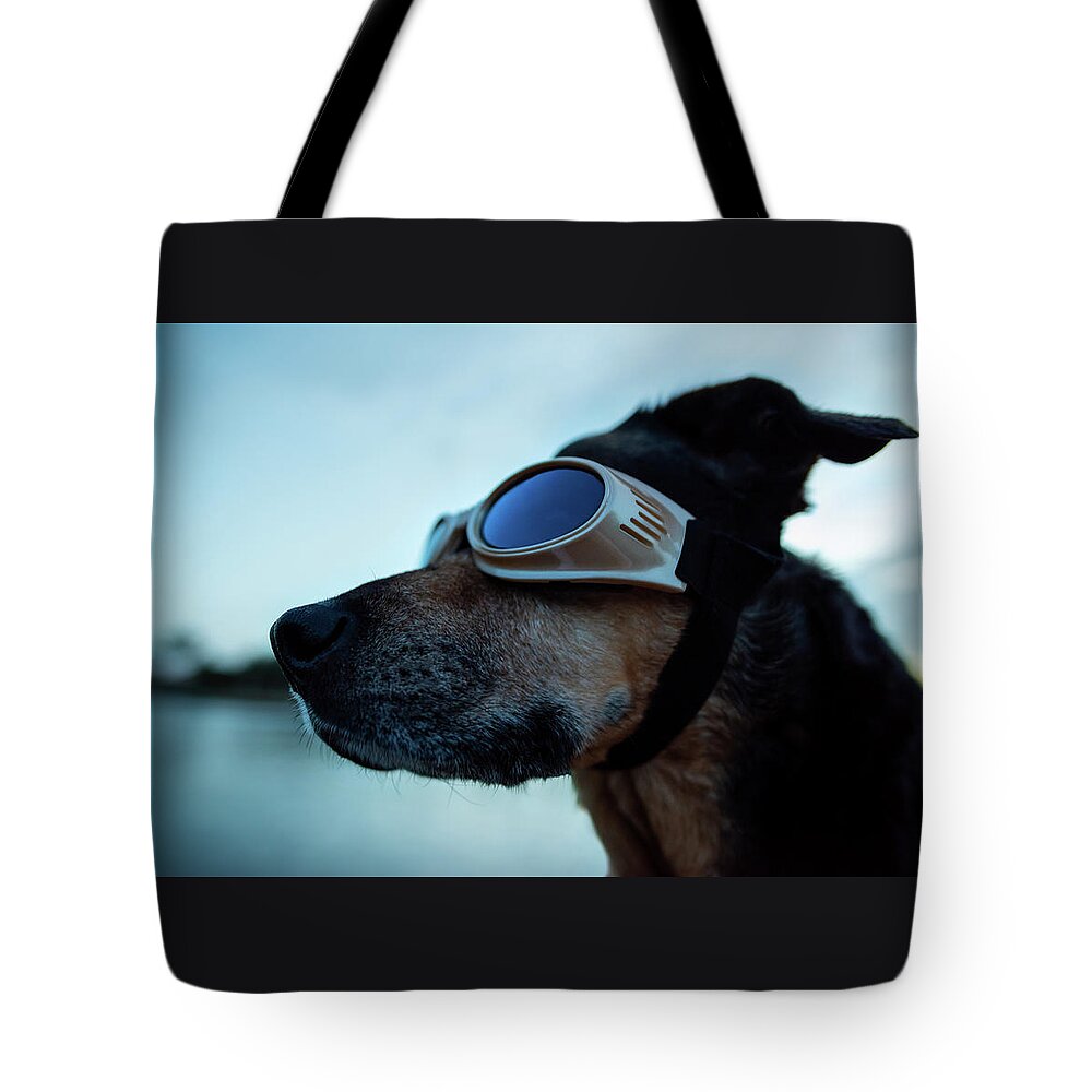 Dog Tote Bag featuring the photograph Glory Days by Laura Fasulo