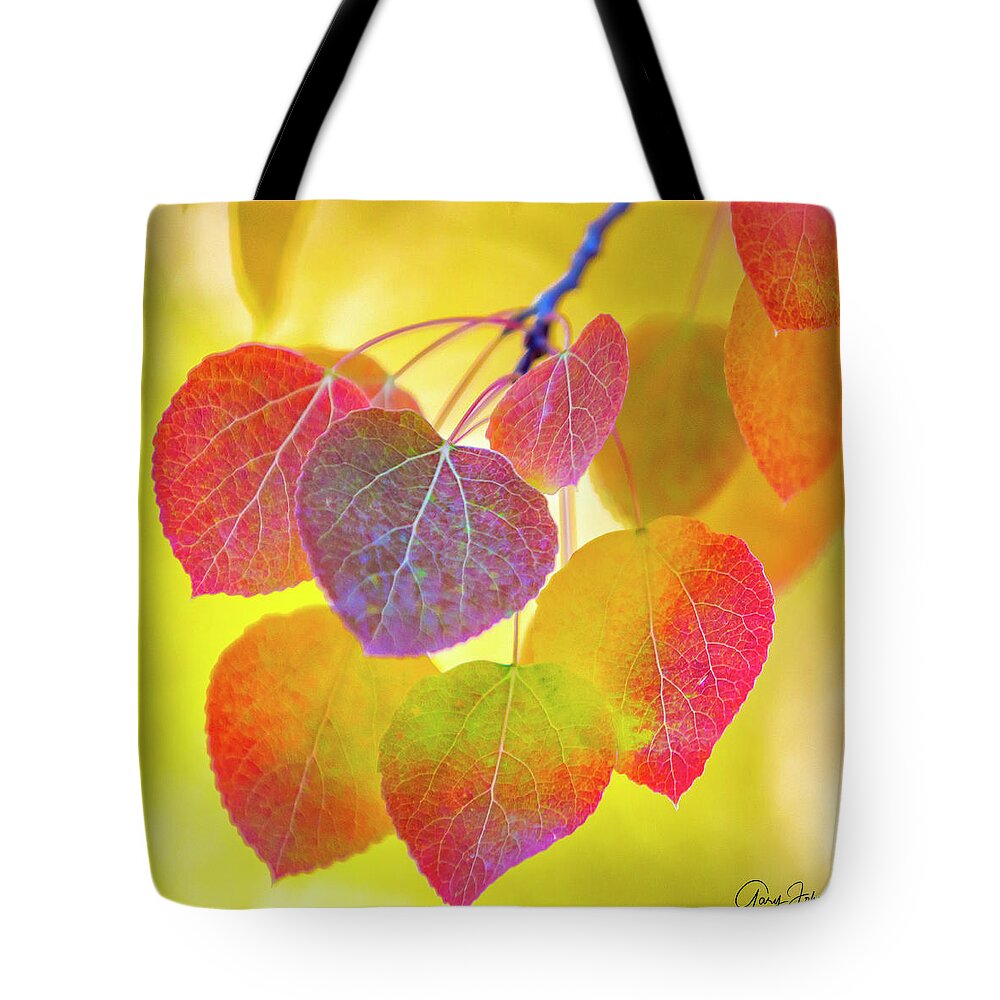 Aspen-trees Tote Bag featuring the photograph Glowing Aspen by Gary Johnson