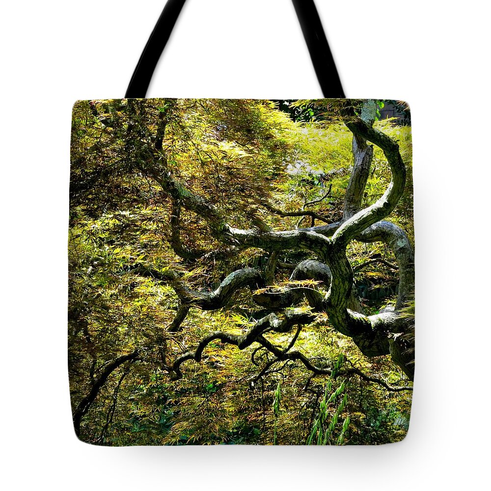 Trees Tote Bag featuring the photograph Gnarly Tree Closeup by Linda Stern