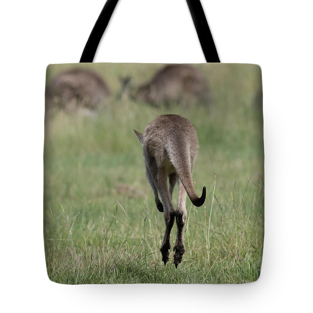Landscape Tote Bag featuring the photograph Go and Jump by Masami IIDA