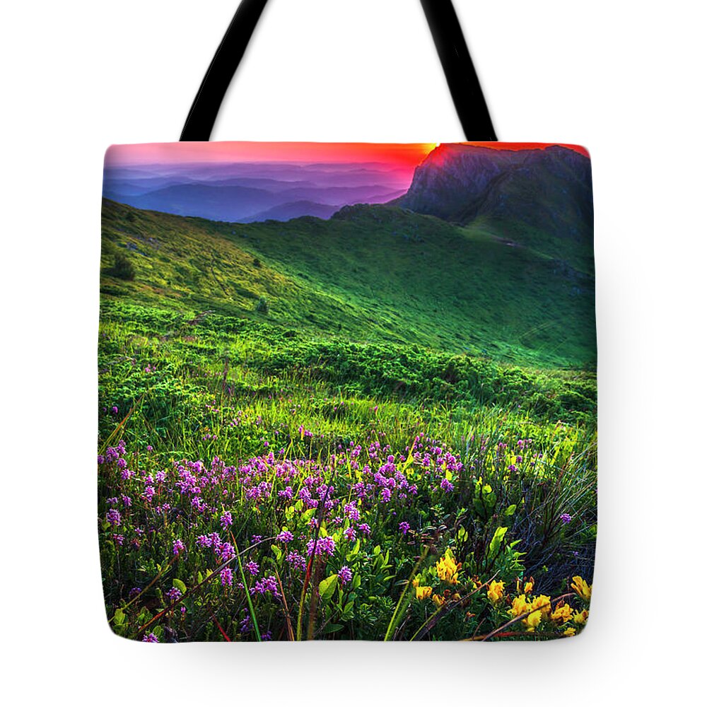 Balkan Mountains Tote Bag featuring the photograph Goat Wall by Evgeni Dinev