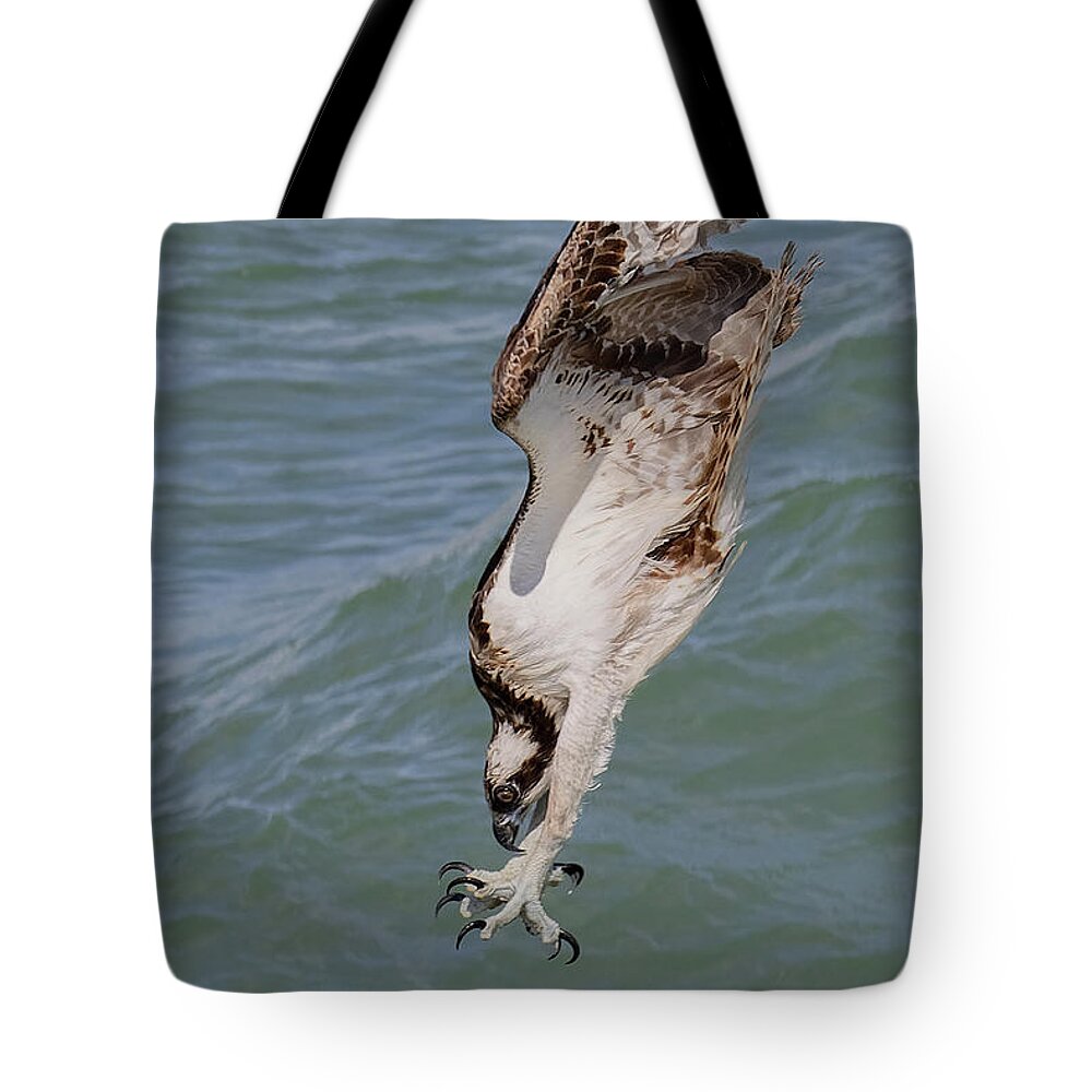 Osprey Tote Bag featuring the photograph Going In by RD Allen