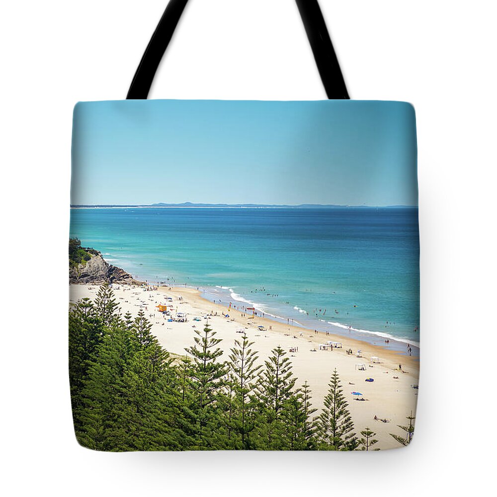 Umbrella Pine Tote Bags