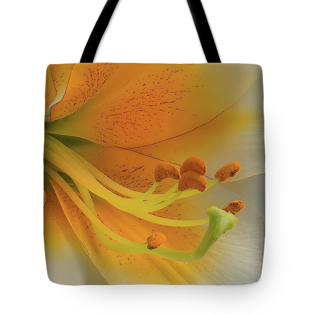 Daylily Tote Bag featuring the photograph Gold Daylily Close-up by Patti Deters
