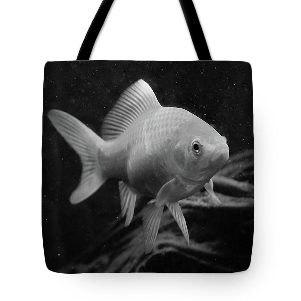 Goldfish Tote Bag featuring the photograph Gold in Mono by Neil R Finlay