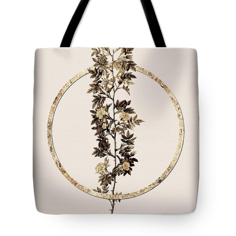 Vintage Tote Bag featuring the painting Gold Ring Cuspidate Rose Botanical Illustration Black and Gold n.0383 by Holy Rock Design