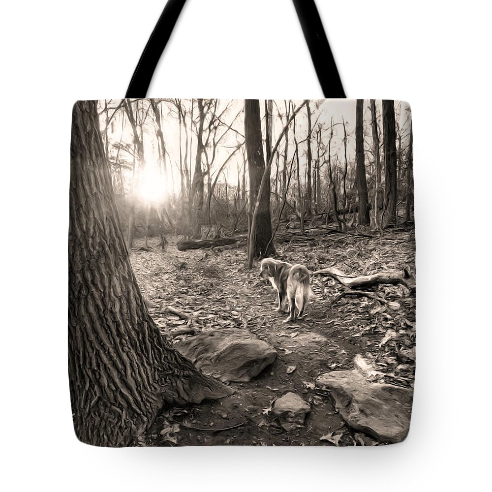Lake Tote Bag featuring the digital art Golden and Sunset by Russ Considine