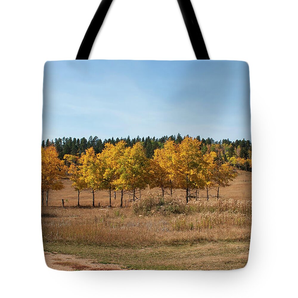 Black Halls Fall Tote Bag featuring the photograph Golden Aspens Fall Colors by Cathy Anderson