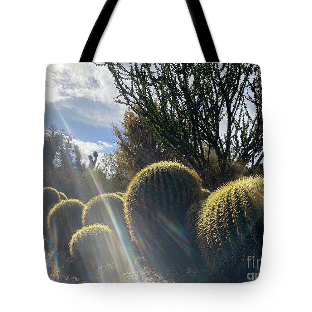 Cactus Tote Bag featuring the photograph Golden Barrel Cactus in Sun Beams by Katherine Erickson