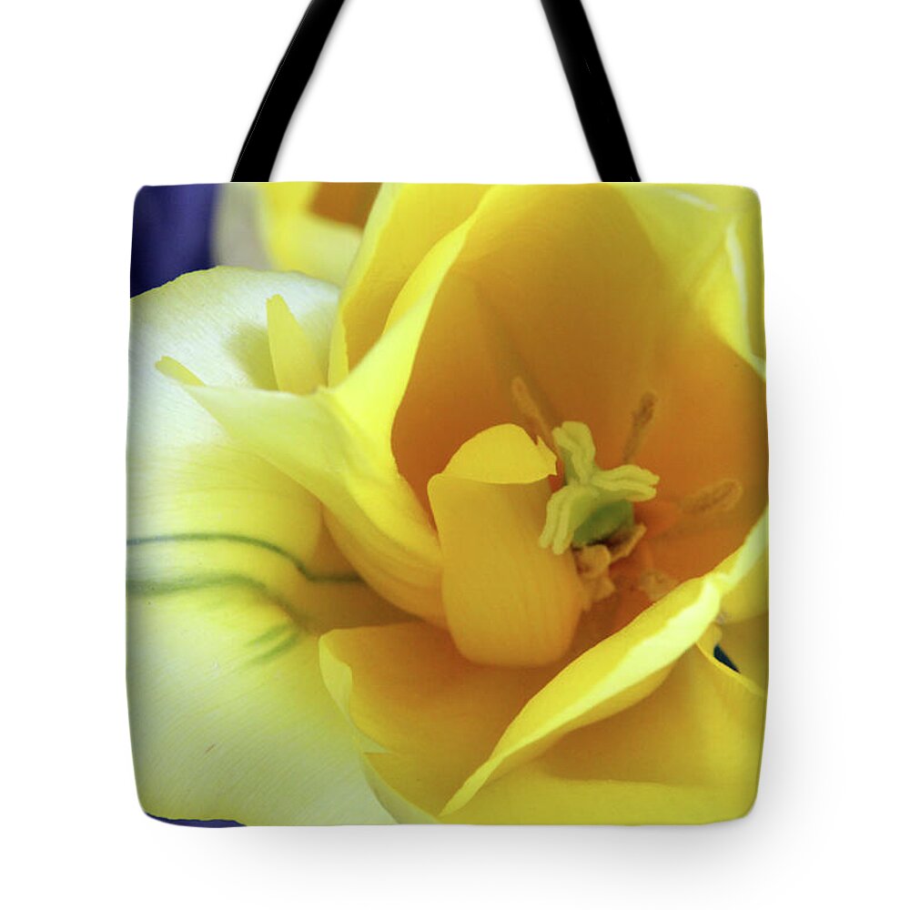 Golden Tote Bag featuring the photograph Golden by Carolyn Stagger Cokley