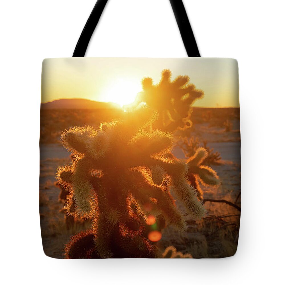 California Tote Bag featuring the photograph Golden Cholla 2 by Go and Flow Photos
