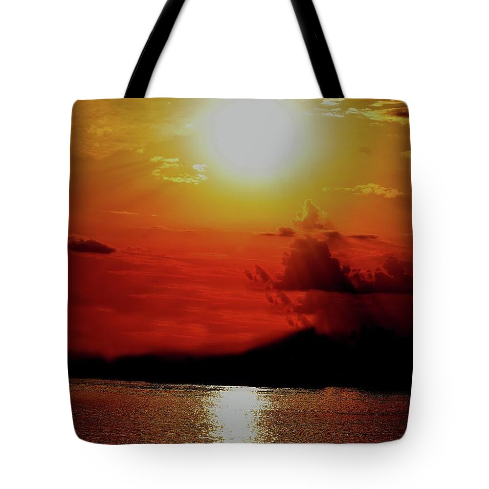 Nature Tote Bag featuring the photograph Golden Dream by Leonida Arte