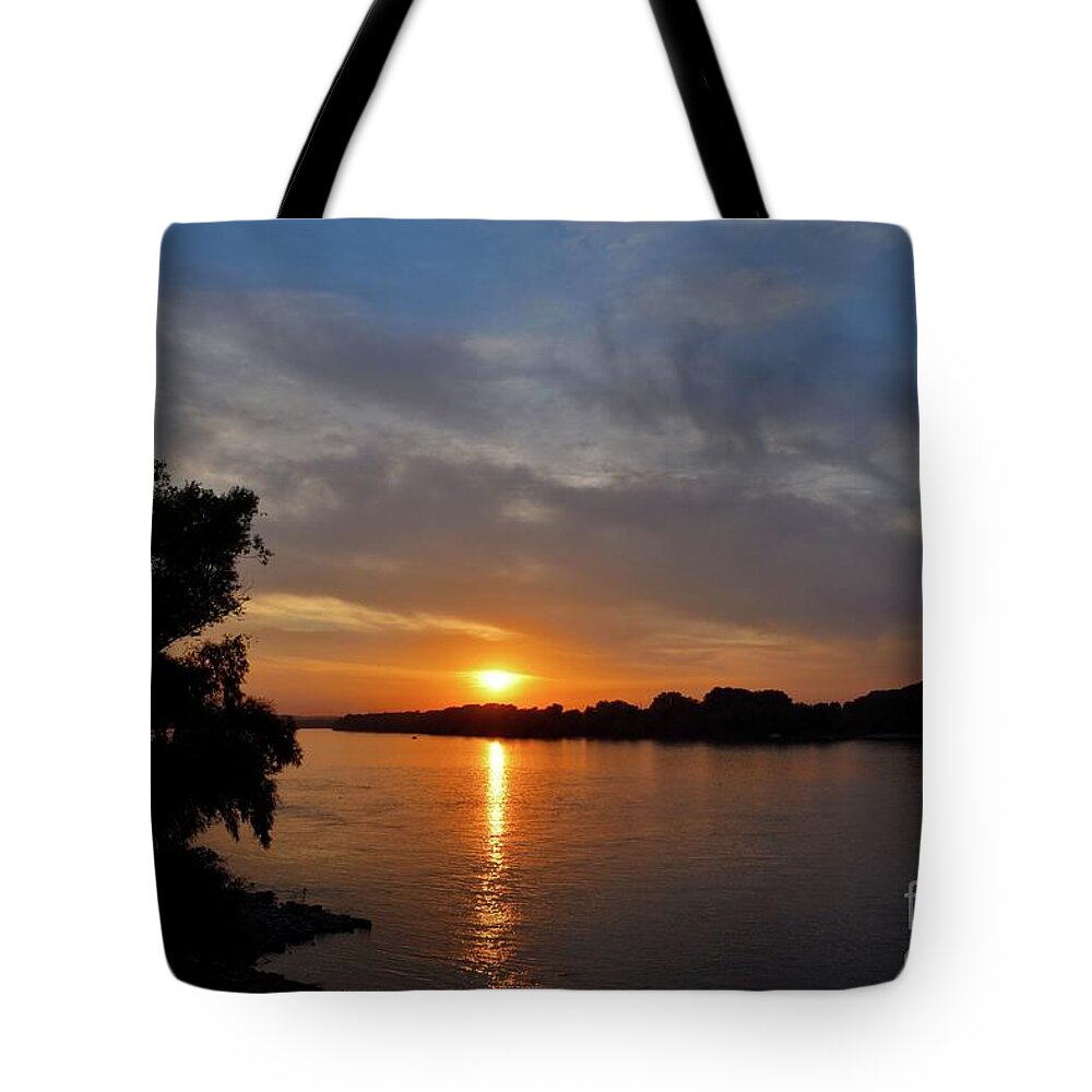 Harmony Tote Bag featuring the photograph Golden Eye of Sunlight by Leonida Arte
