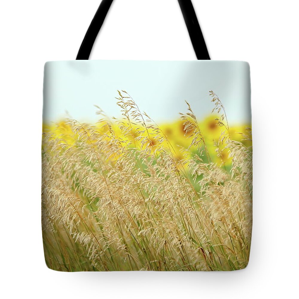 Sunflower Tote Bag featuring the photograph Golden Horizon by Lens Art Photography By Larry Trager