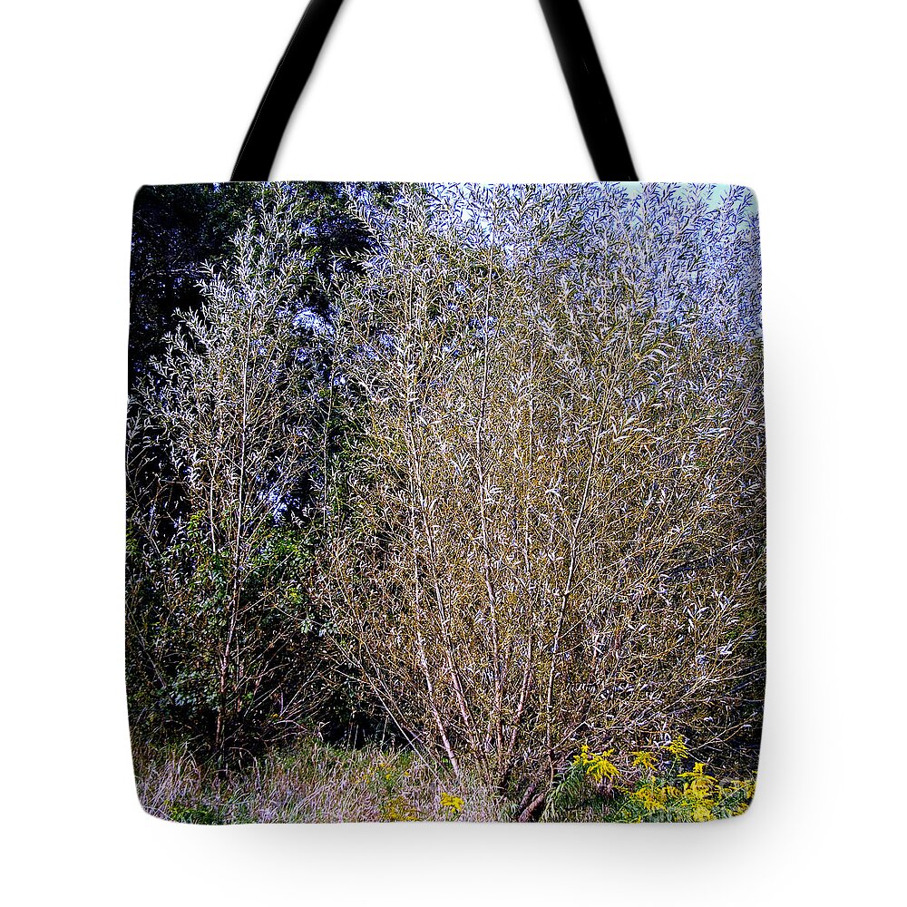 Sunset Tote Bag featuring the photograph Golden Hour Sunset Trees and Flowers - Square by Frank J Casella