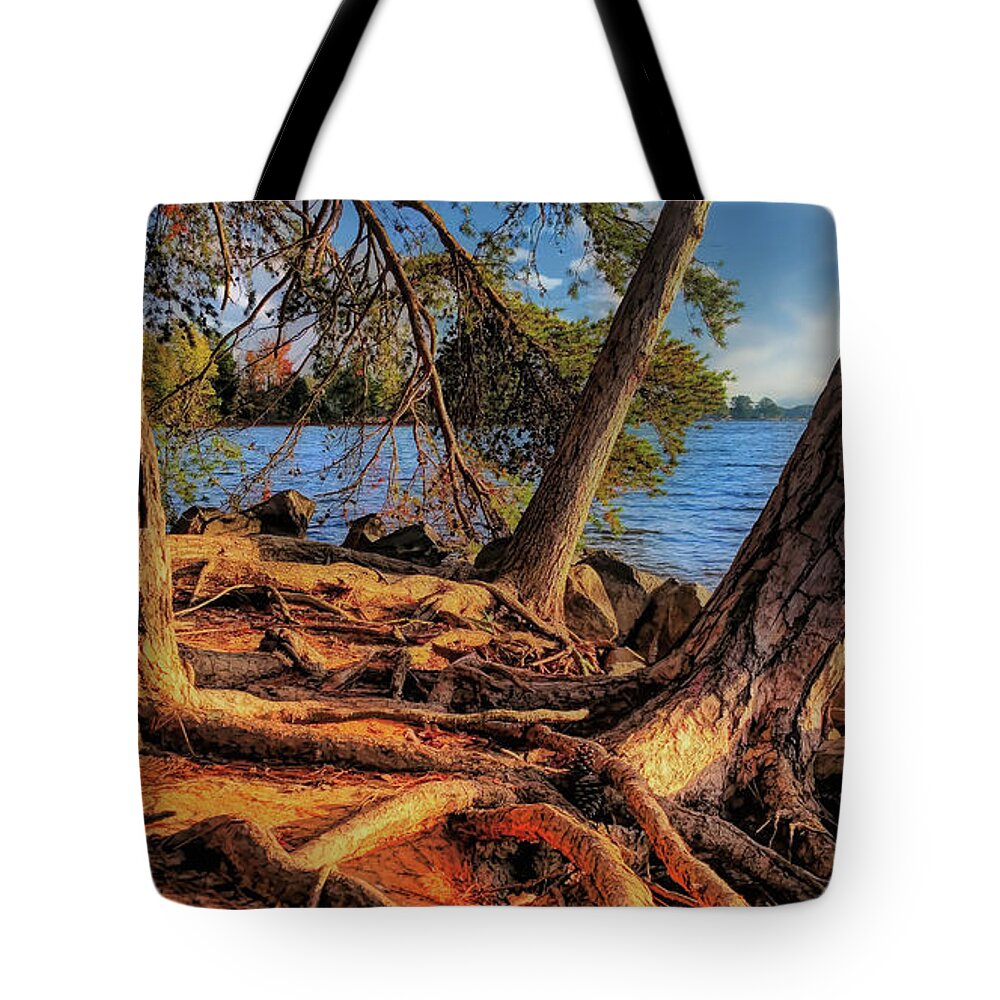 Lake Tote Bag featuring the photograph Golden Hour Trees at Lake Norman by Amy Dundon