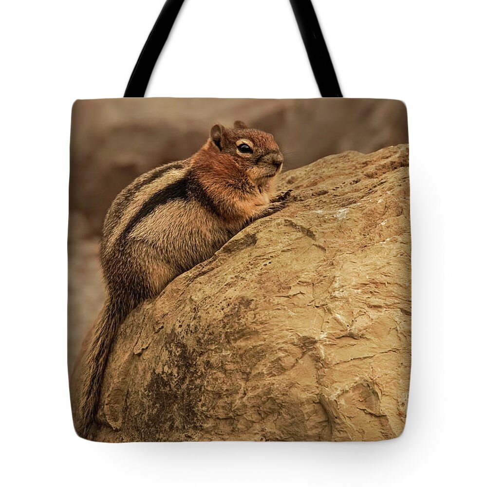 Squirrel Tote Bag featuring the photograph Golden-mantled Ground Squirrel Perched on a Rock by Nancy Gleason
