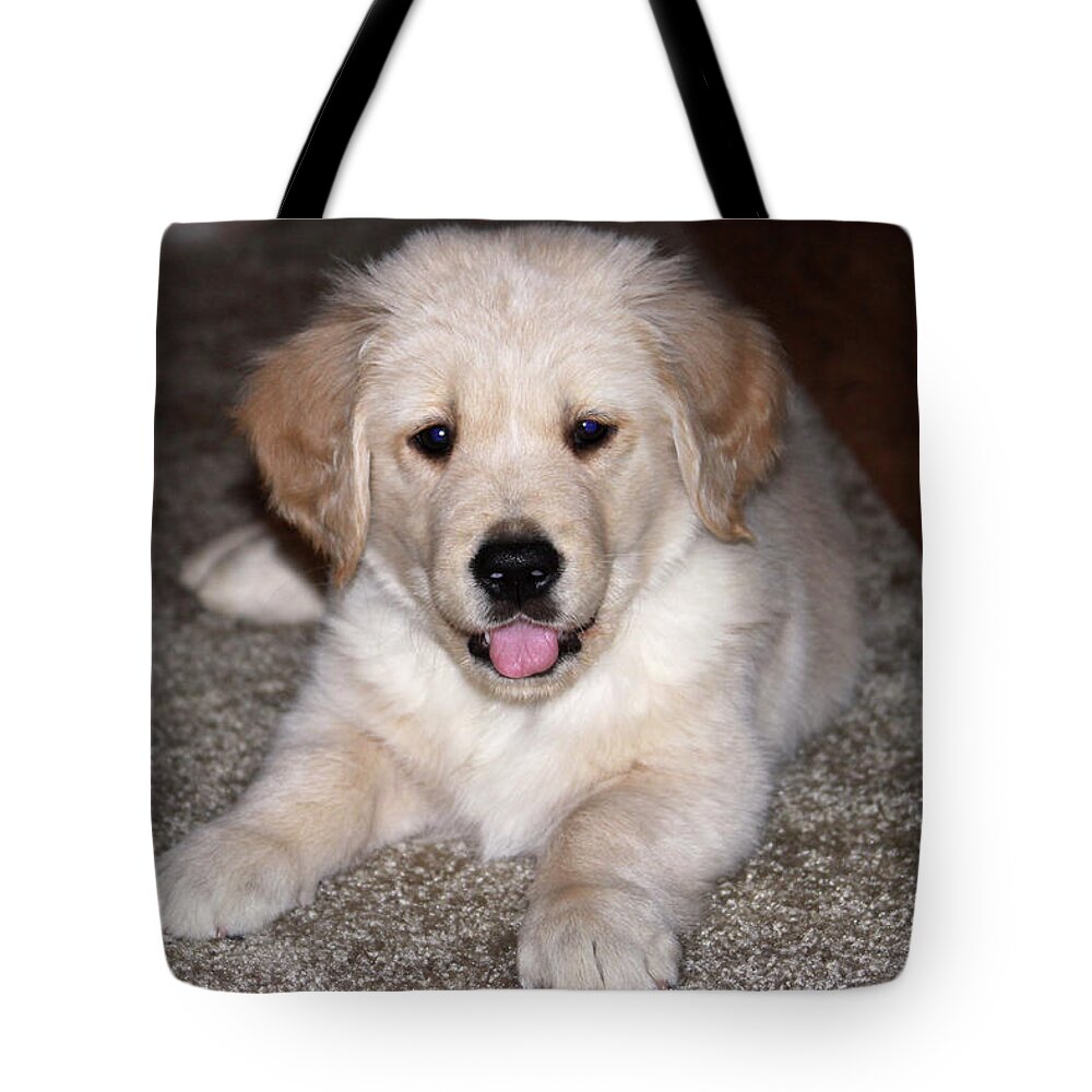 Animal Tote Bag featuring the photograph Golden Retriever Puppy by Dawn Richards