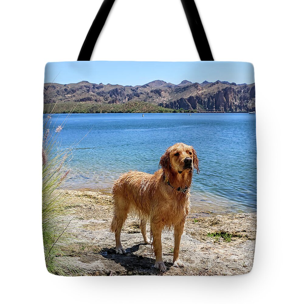 Arizona Tote Bag featuring the photograph Golden Retriever standing by Lake by Dawn Richards