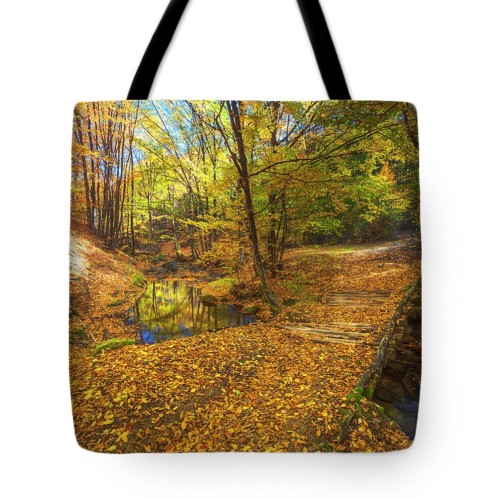 Bulgaria Tote Bag featuring the photograph Golden River by Evgeni Dinev