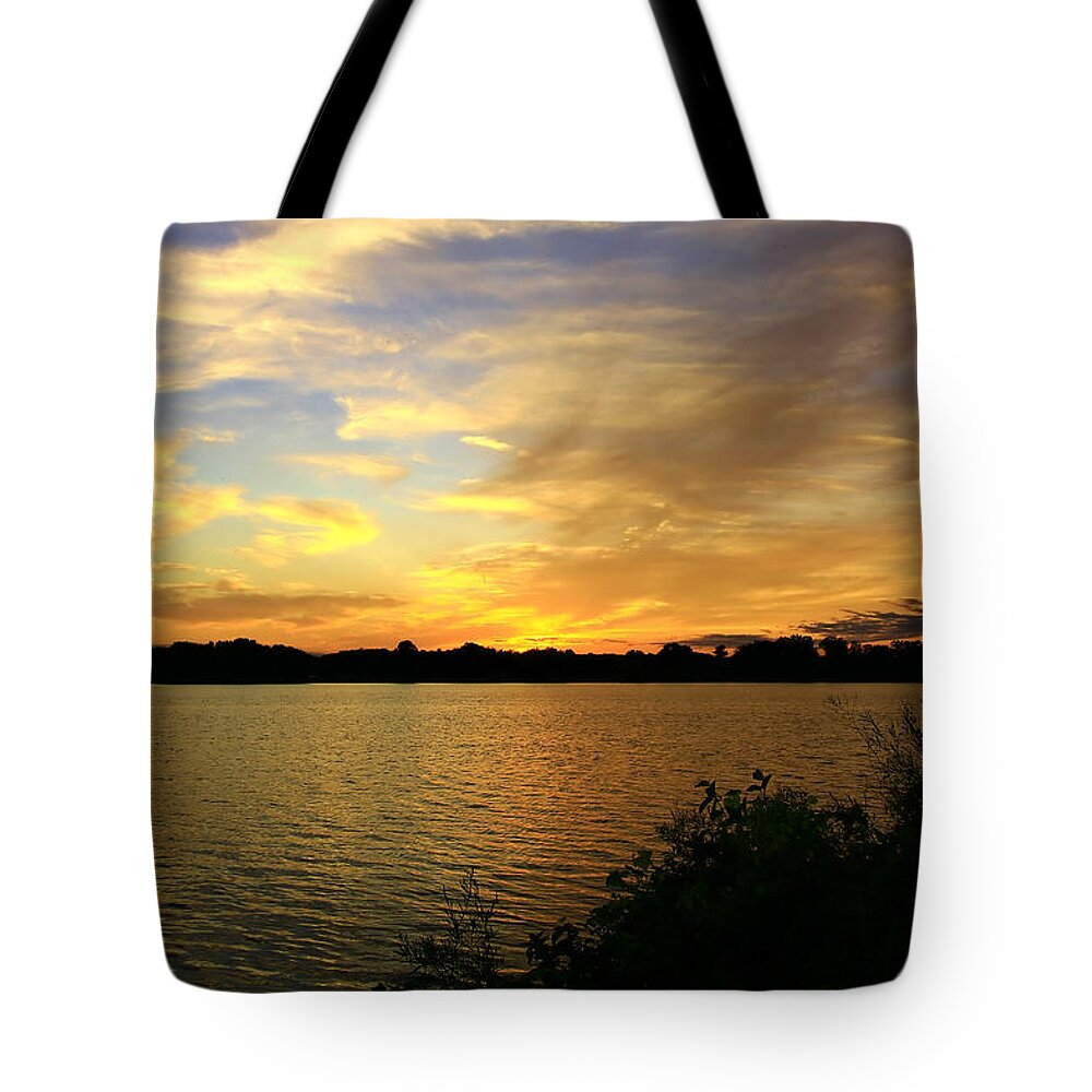 Sunset Tote Bag featuring the photograph Golden Sunset by Mary Walchuck