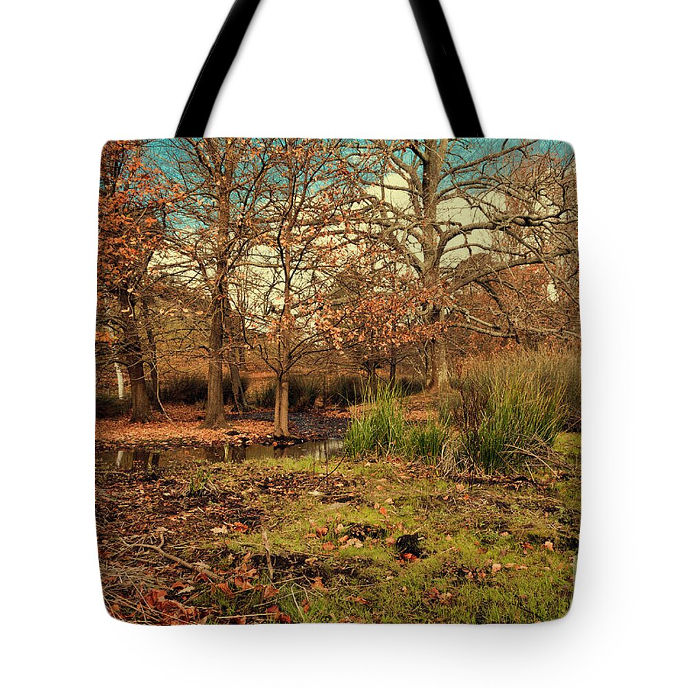 Balingup Tote Bag featuring the photograph Golden Valley Tree Park, Balingup, Western Australia 2 by Elaine Teague