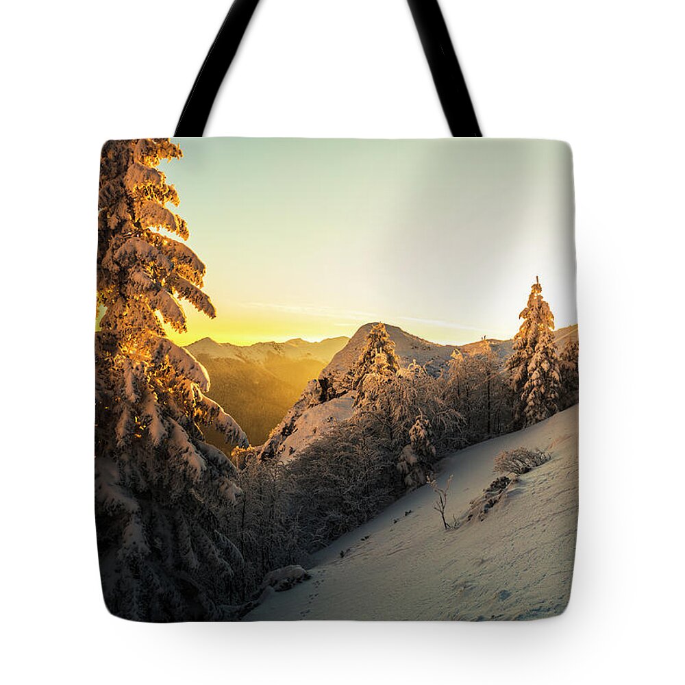 Balkan Mountains Tote Bag featuring the photograph Golden Winter by Evgeni Dinev