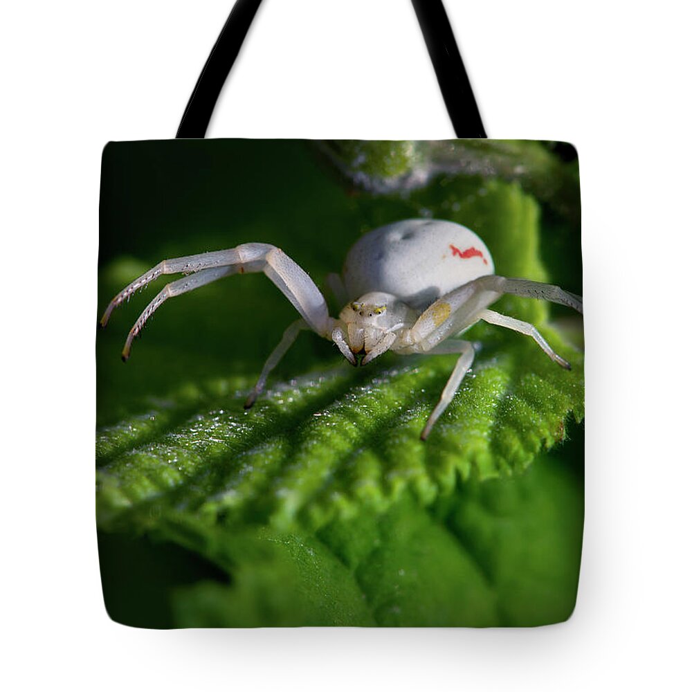Spider Tote Bag featuring the photograph Goldenrod crab spider by Olivier Parent