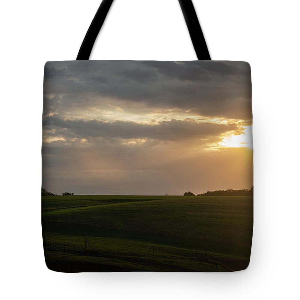 Pastoral Tote Bag featuring the photograph Good Morning by Brooke Bowdren