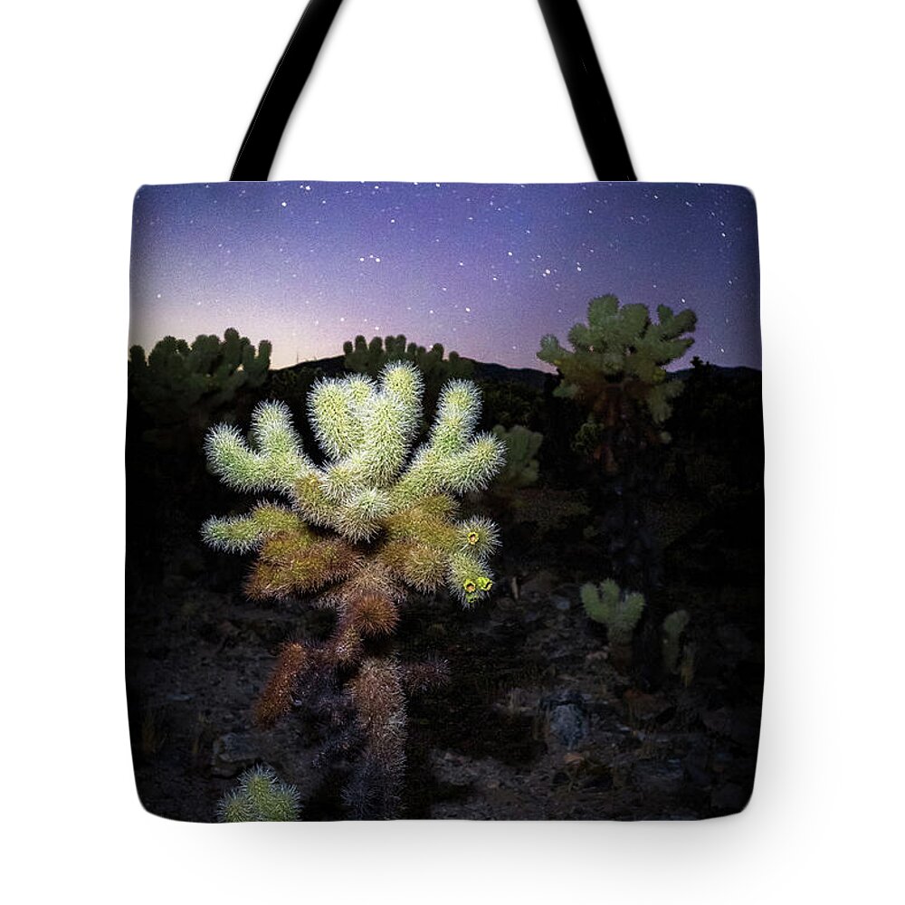 Comets Tote Bag featuring the photograph Goodbye Neowise by Tassanee Angiolillo