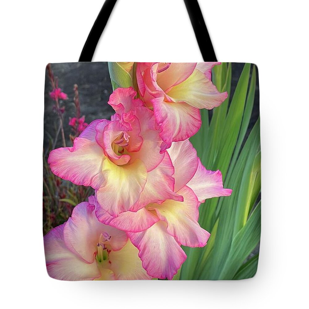 Glads Tote Bag featuring the photograph Gorgeous Glads by Carol Groenen