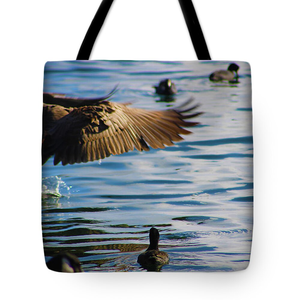 Birds Tote Bag featuring the photograph Grace of the Water Dance by Marcus Jones