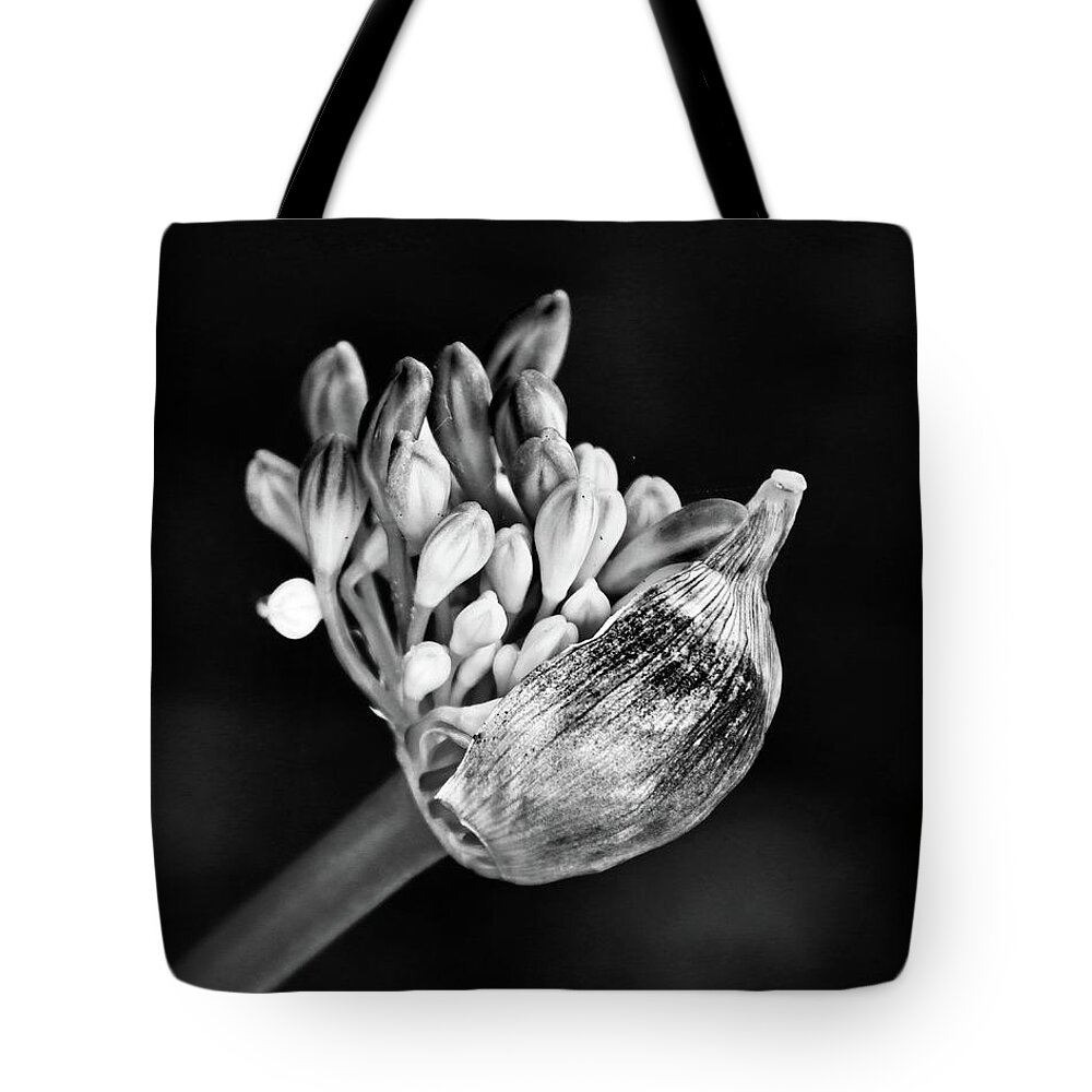 Grace Tote Bag featuring the photograph Grace by Sarah Lilja