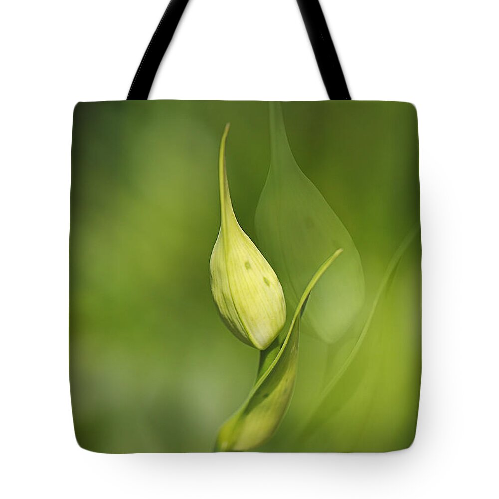 Lily Of The Nile Tote Bag featuring the digital art Graceful Agapanthus Duet by Joy Watson