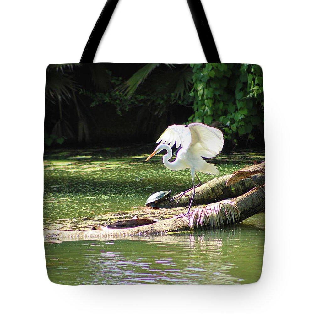 Birds Tote Bag featuring the photograph Graceful Flight of the Heron by Marcus Jones